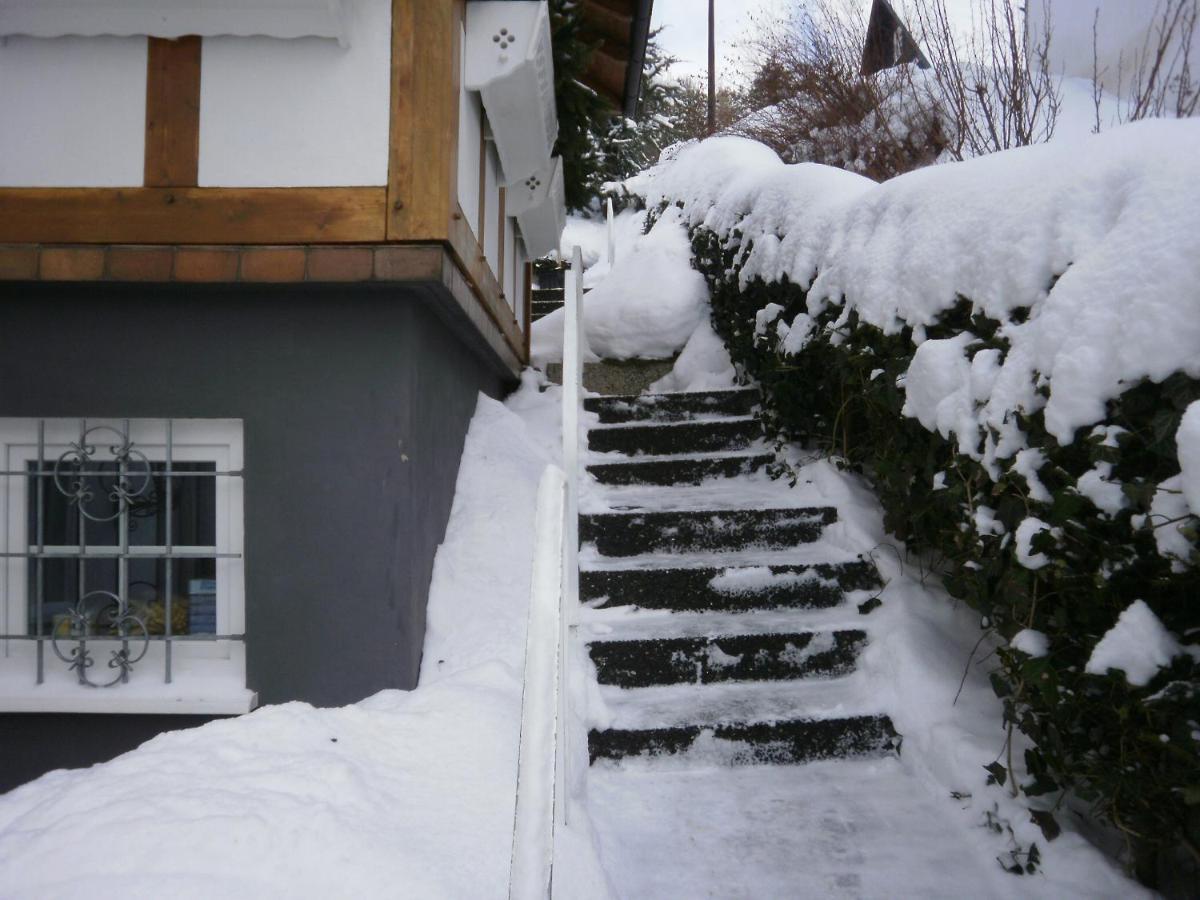 Linn Holiday home Winterberg